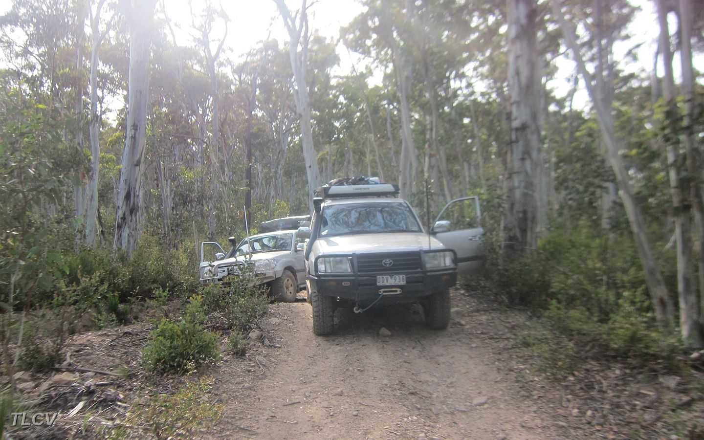 09-Stopped on the Cobberas Trail to clear a tree.JPG